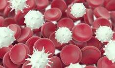 Akut lenfoblastik lösemi tedavisi