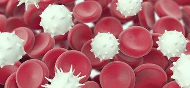 Akut lenfoblastik lösemi tedavisi