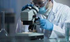 akut miyeloid lösemi tanısı