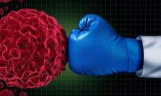 Kronik miyeloid lösemi