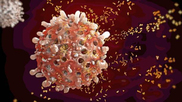 Kronik miyeloid lösemi tedavisi