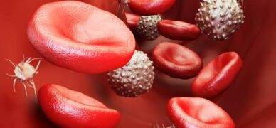 Formül lökosit nedir