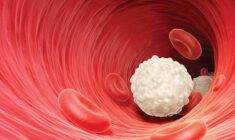 Lökosit düşüklüğü nedenleri