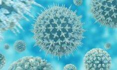 Lökosit seviyesi nasıl normale döner