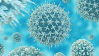 Lökosit seviyesi nasıl normale döner?