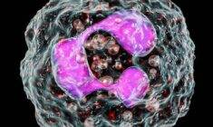 Nötrofil değerlerini etkileyen hastalıklar nelerdir?