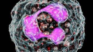 Nötrofil değerlerini etkileyen hastalıklar nelerdir?