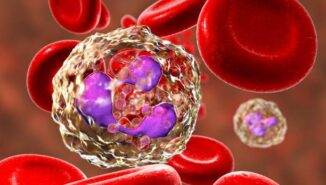 Nötrofil düşüklüğü nedenleri