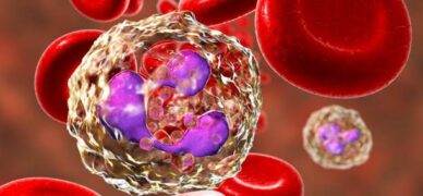 Nötrofil düşüklüğü nedenleri