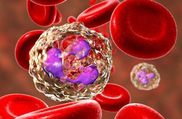 Nötrofil düşüklüğü nedenleri