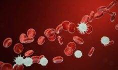 Nötrofil düşüklüğü nedir