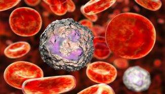 Nötrofil yüksekliği nedir?