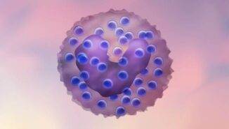 Bazofil yüksekliği